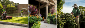 Landscape maintenance on business and commercial properties